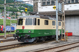 IRSI Re 421 388-0 'Damigella verde' (fotomontaggio)